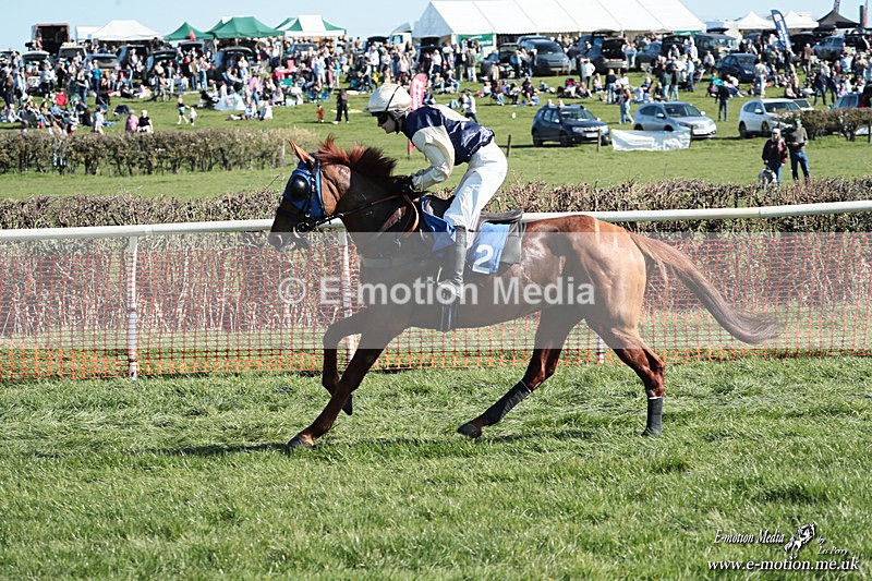 PtP 210326 236 - VWH Cirencester Races 21/03/26