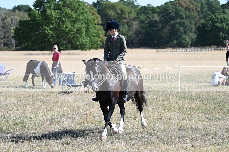 WJ7_3682 - Class 9 Mountain & Moorland Ridden