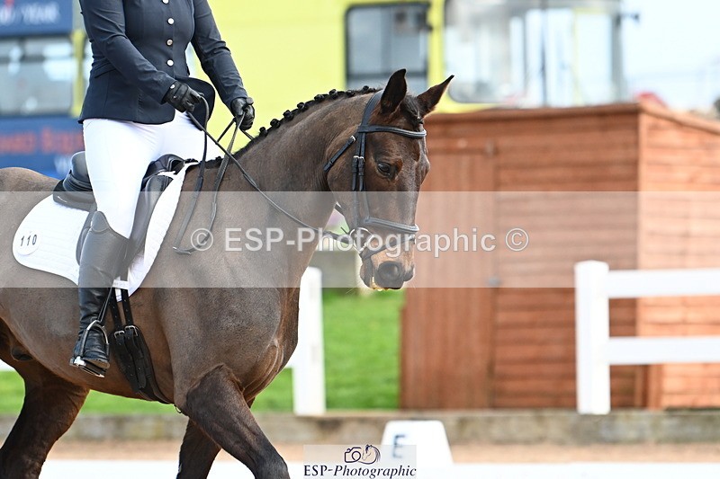 240323A-105616-01497 - DR Prelim 2