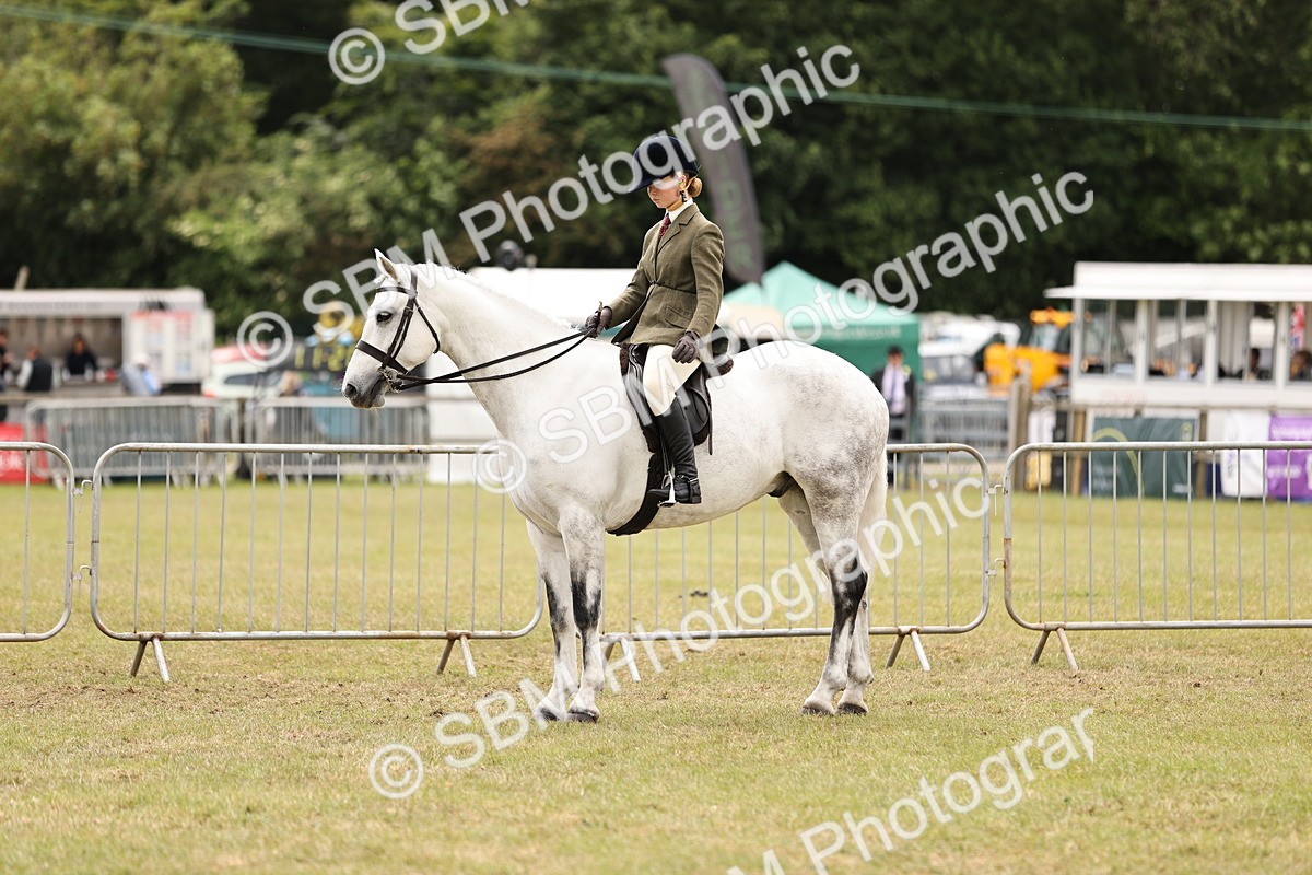 SBM_14593 - Class 88-89 - LIHS BSHA Rising Star of Ridden Hunter Type