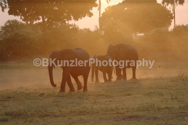  - Africa