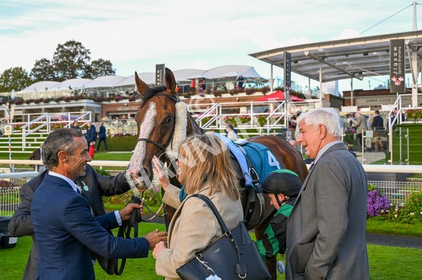 230923-Race 6-September Power-3668 - Race 6 4.55pm New To York Rio Brazilian Handicap