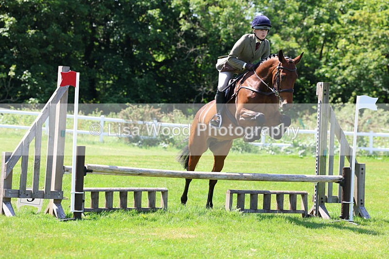 3E7A6973 - Class 30: Novice Working Hunter