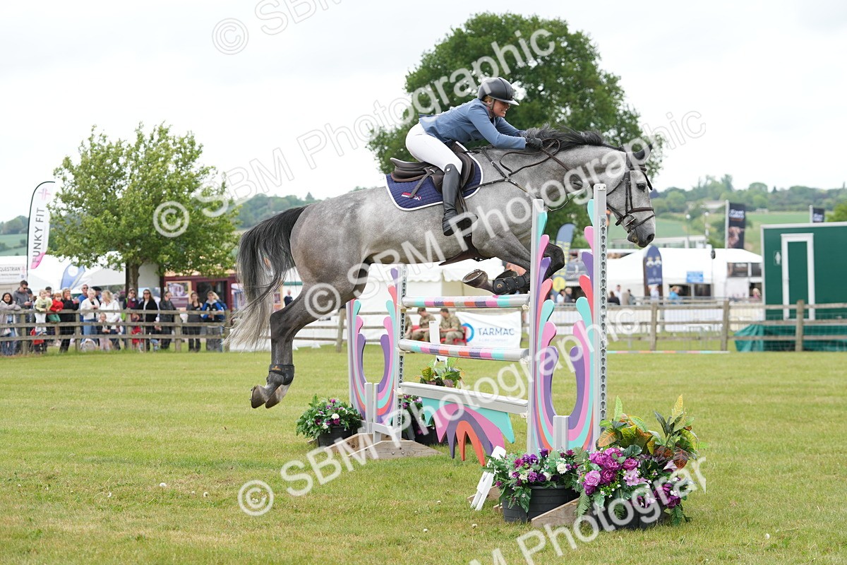 SBM_05278 - Class 201 - British Horse Feeds Speedi Beet Horse of the Year Show Grade  C
