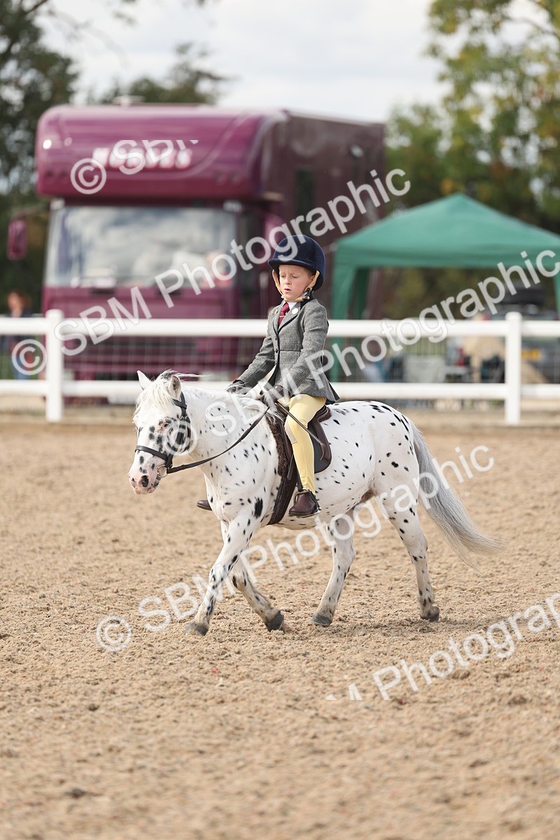 SBM_15887 - Class 310 - First Ridden Pony