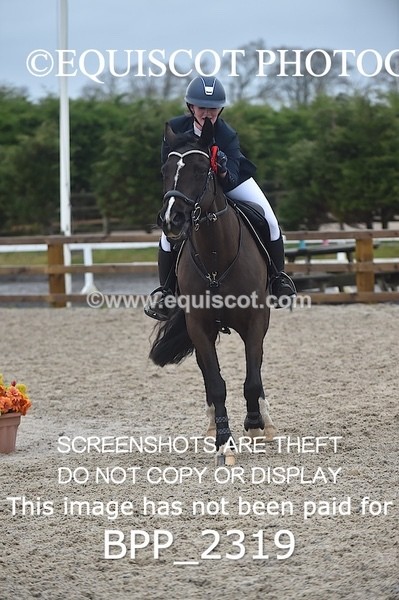 BPP_2319 - CLASS 24 Junior 1.20m Open