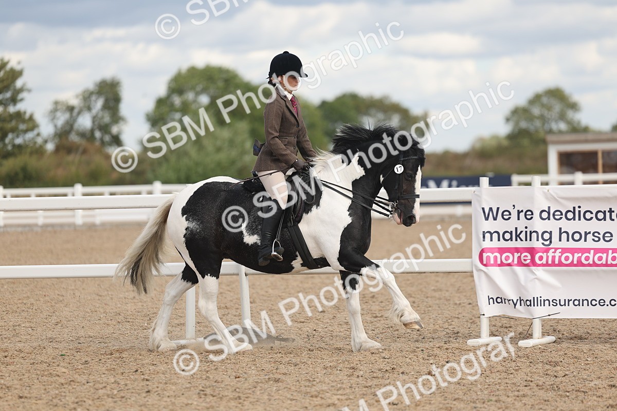 SBM_14706 - Class 307 - Ridden Coloured Pony