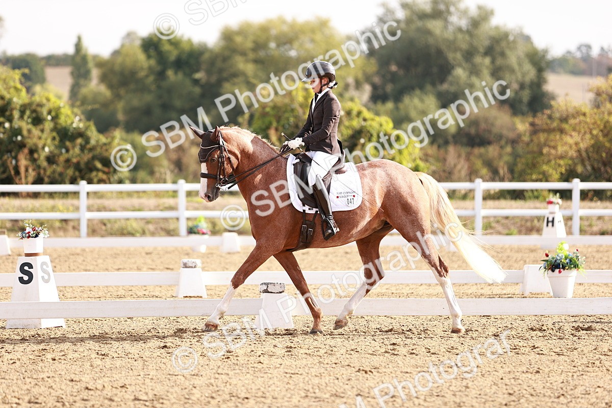 SBM_016851 - Class 10 - Medium 6