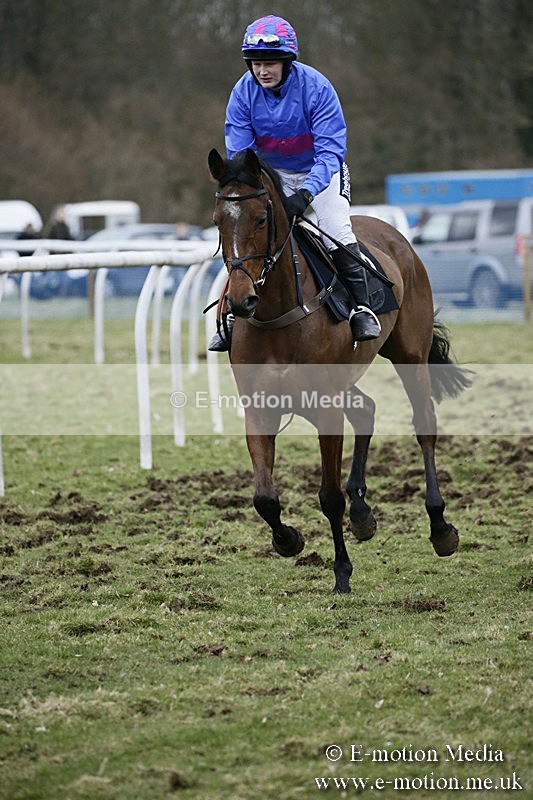 PtP 110318 514 - Hampshire Hunt Point-to-Point Hackwood Park 11/03/18