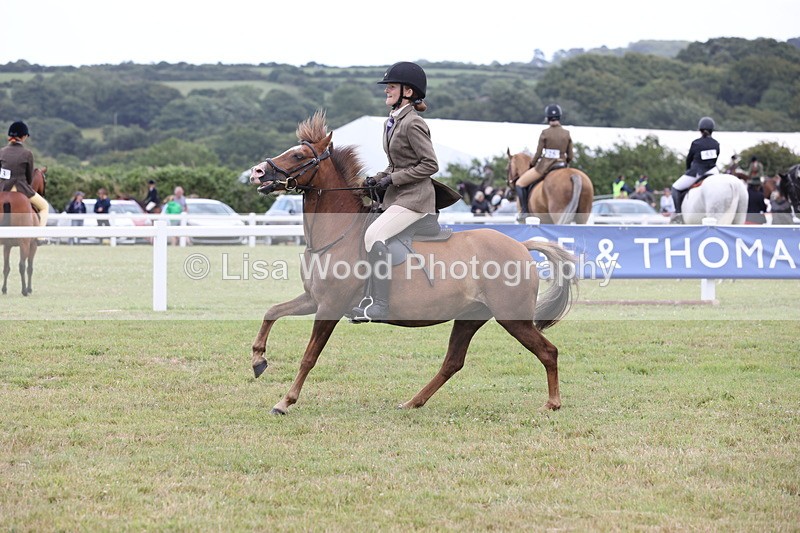 JPP_1709 - Class 18: Tiny Tots Working Hunter Pony