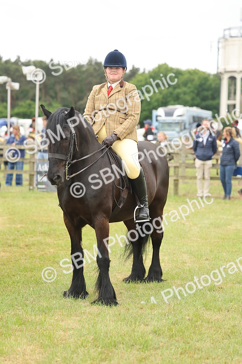 SBM_09018 - Class 78-80 - Ridden M&M Non Welsh Ponies