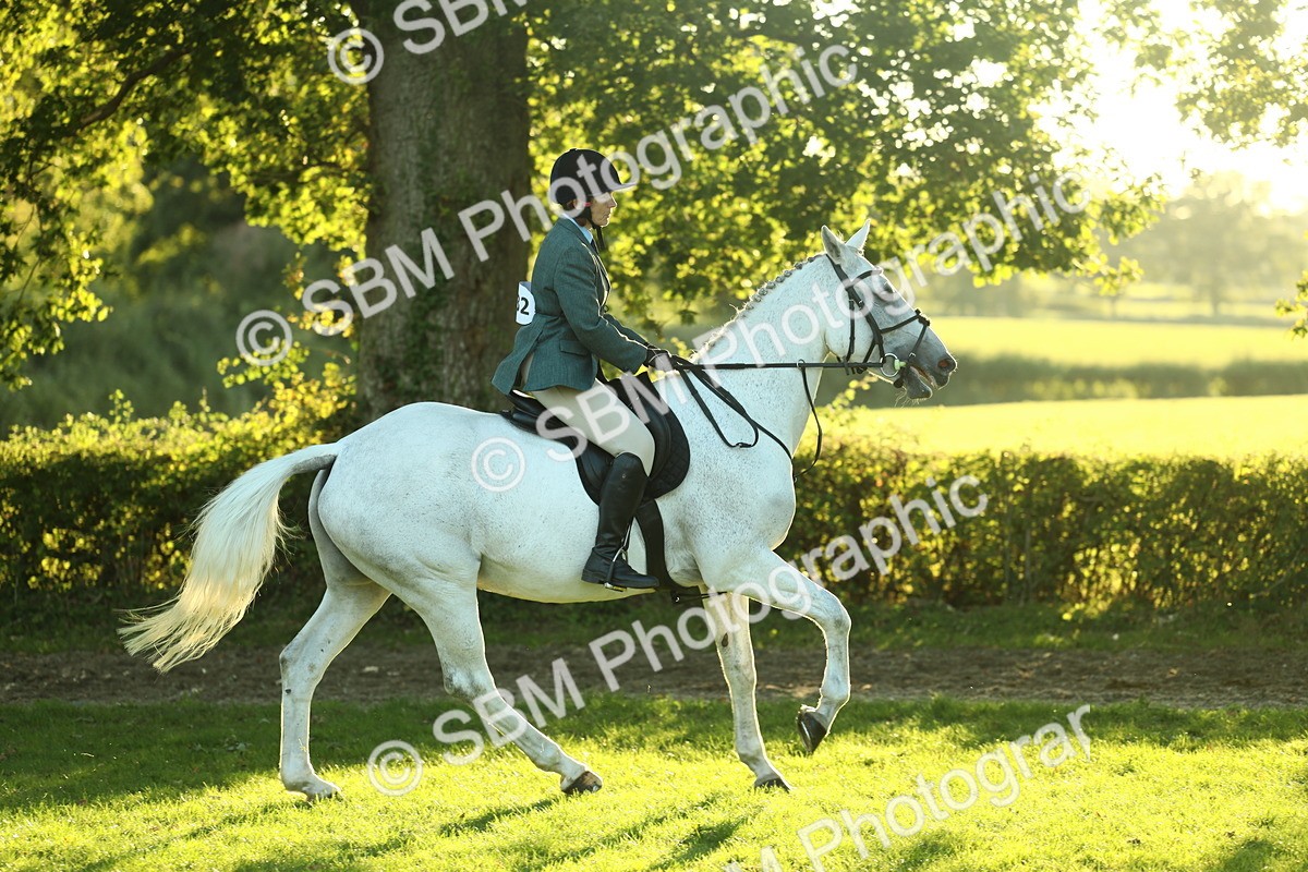 SBM_56405 - S14 - Riding Club Horse