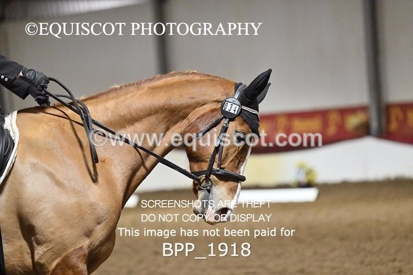 BPP_1918 - INTRO TEST 3