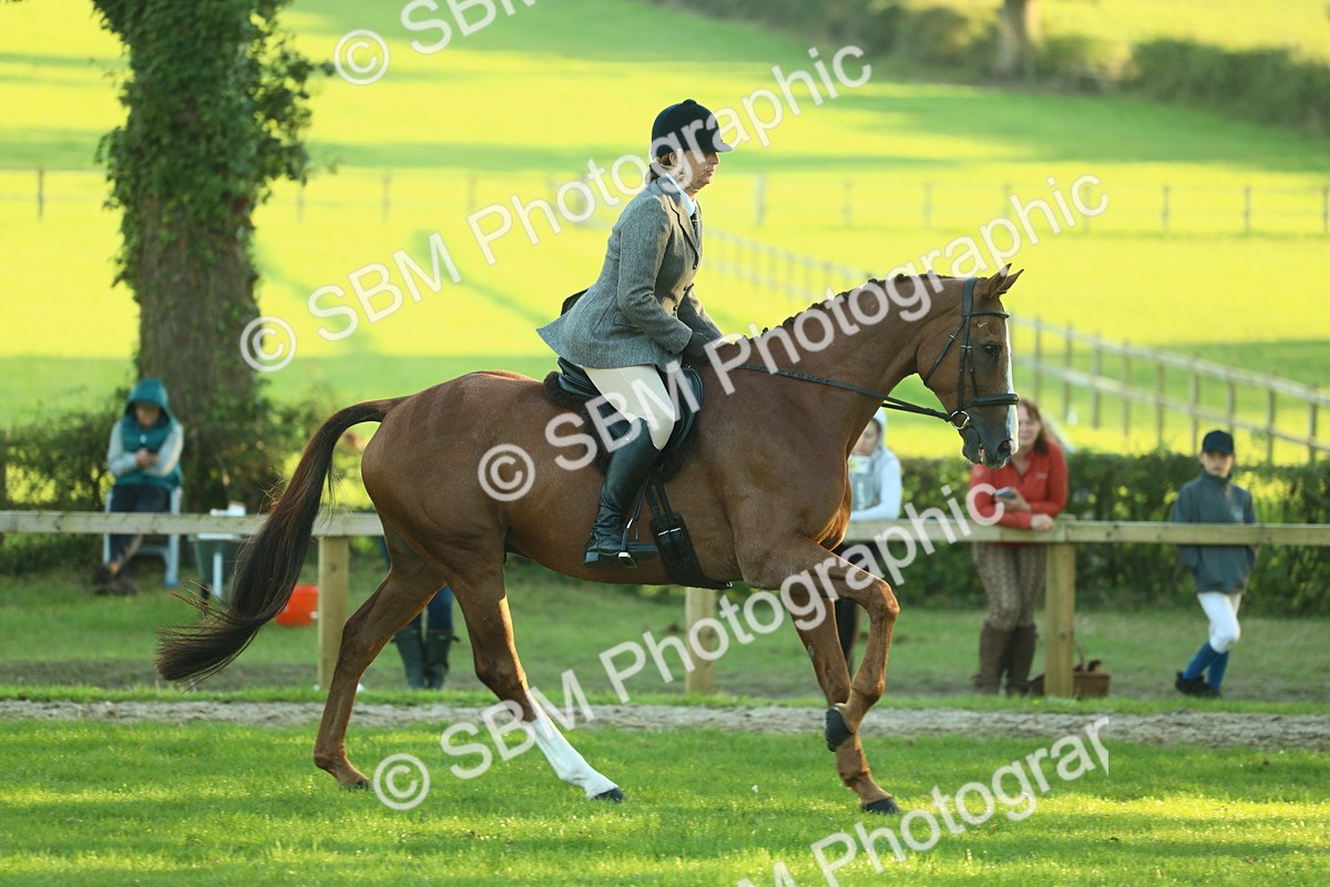 SBM_56395 - S14 - Riding Club Horse