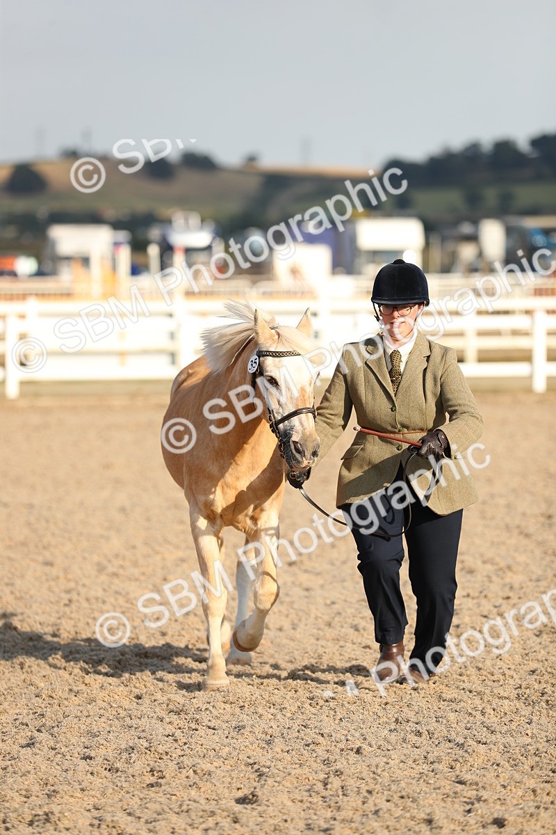 SBM_08958 - Class 29 IH Veteran Pony