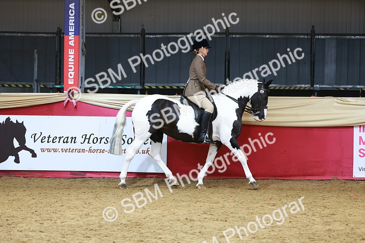 SBM_10518 - Class 103 - HOYS Veteran Qualifier - Ridden Pre Vet