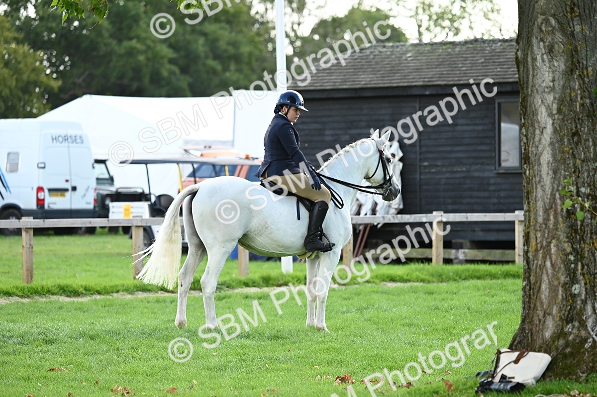 SBM_01700 - S2 - TSR Ridden Horse Showing