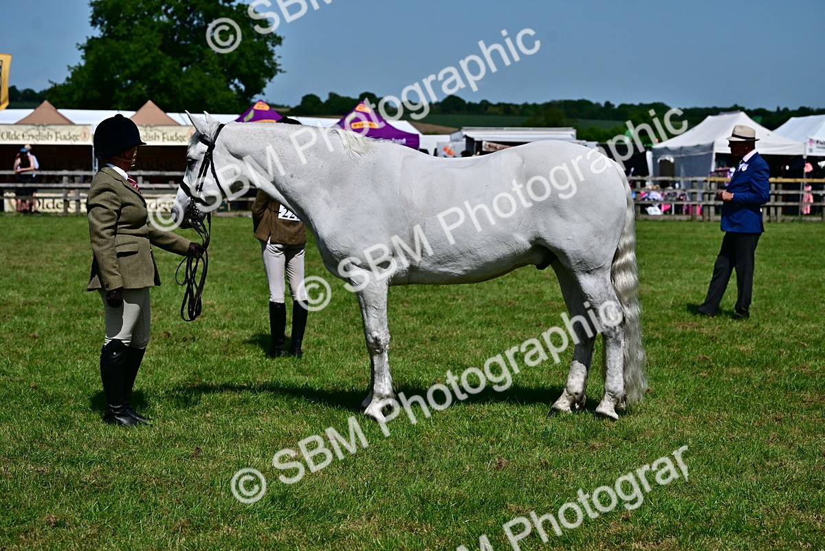 SBM_08082 - Class 61-62 - TSR  M&M Ridden Amateur of the Year