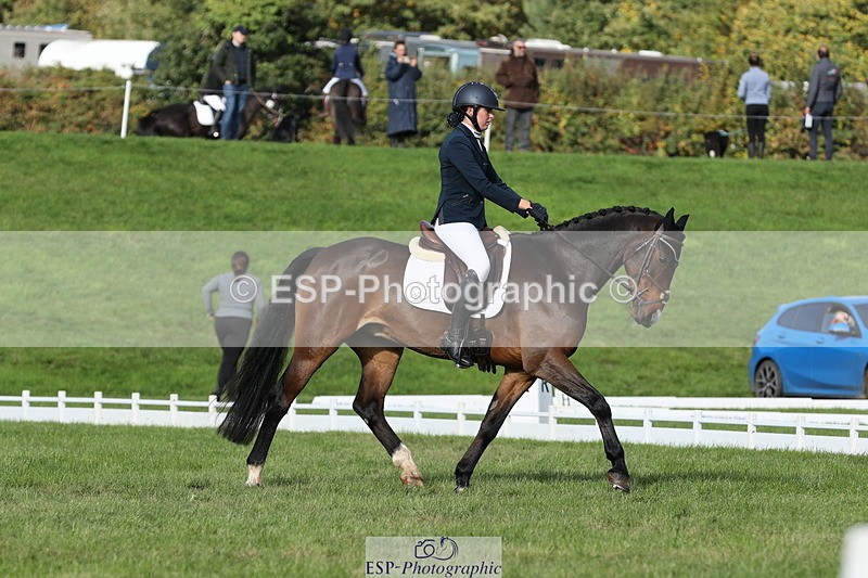 251024A-113918-10014 - D-354-Poppy.Burner