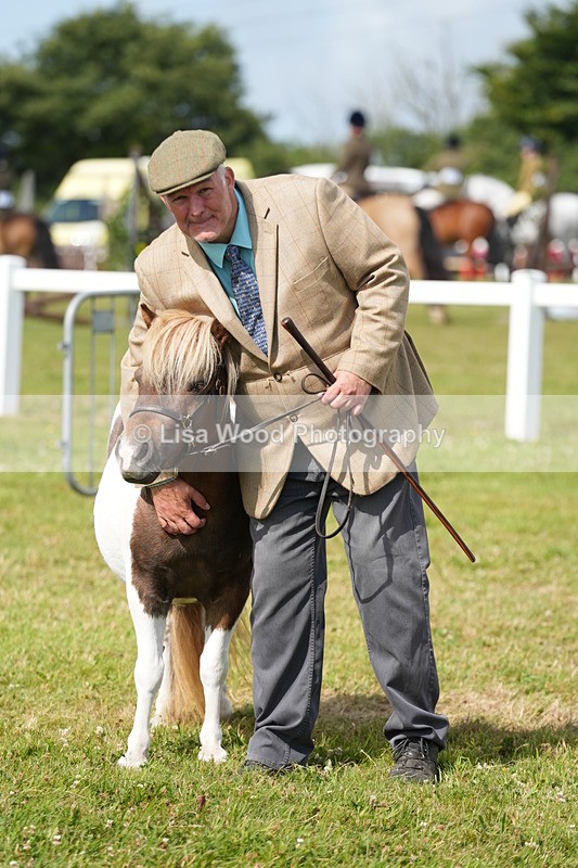 DSC05363 - Class 49: NPS Shetland 4 years and over
