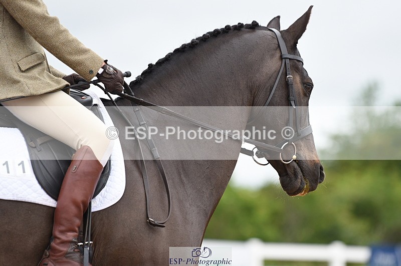 230630A-152812-03176 - Cls 7 Elementary 44 + Medium 71