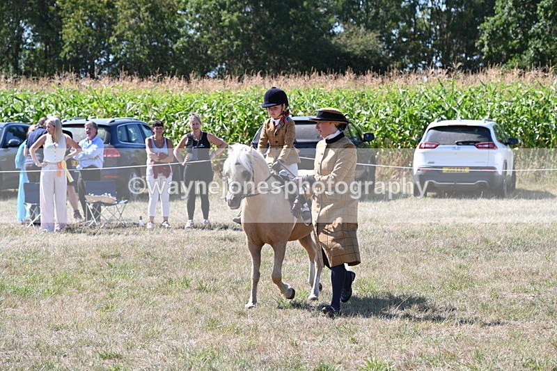 WJ6_8068 - Class 36 Lead Rein