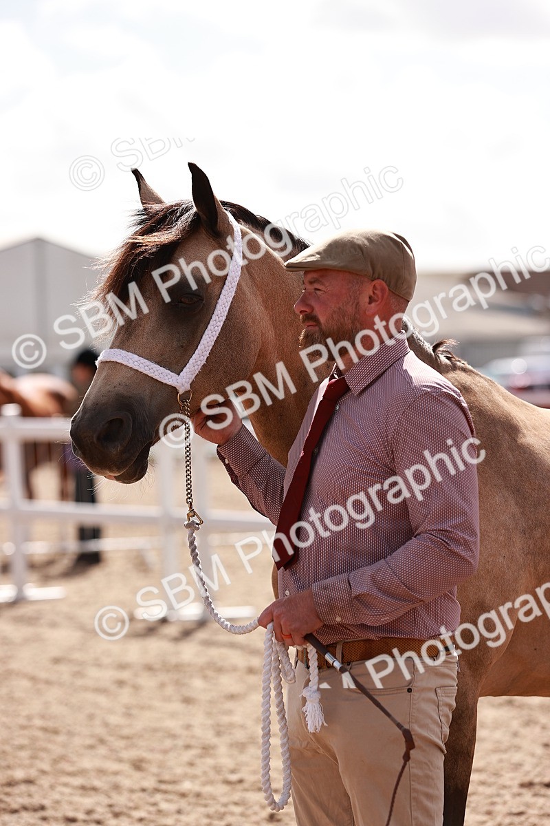 SBM_23007 - Class 707 - IH groom Helpers Class