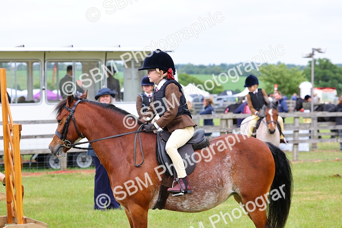 SBM_08781 - Class 42-43 - LIHS BSPS Heritage Working Sports Pony
