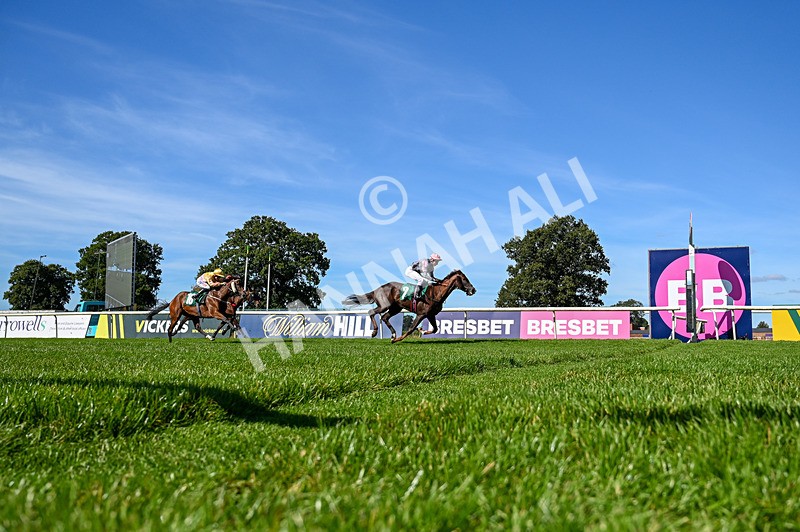 160924-Race 1-Susiesparkle-5009 - Race 1