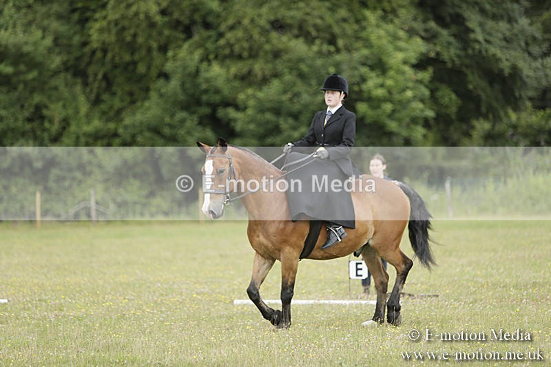 BVR160717-622 - Class 1 & 23a Dressage 16/07/17