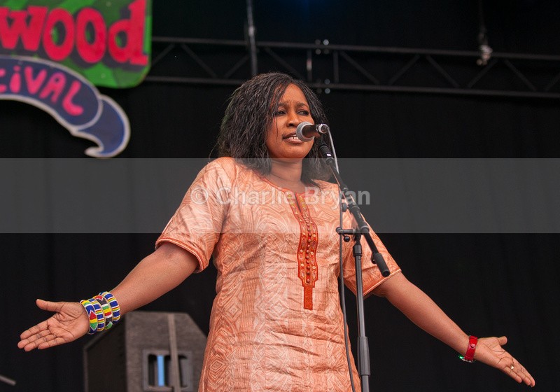 Bassekou Kouyate - Wychwood Festival 2015