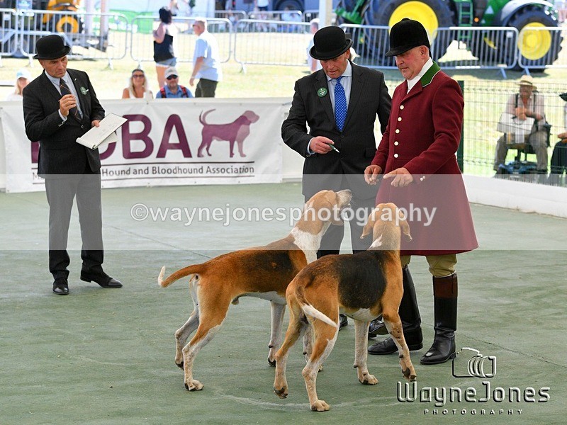 WJ5_0629 - Berks & Bucks at the Great Yorkshire Show 2025