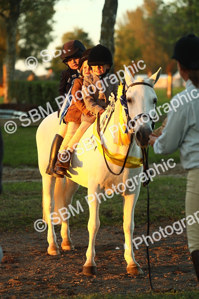 SBM_56754 - Fun & Versatile Supreme Championship