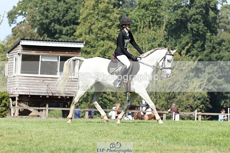 250823A-111959-27923 - Arena D