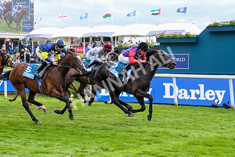 150526-Race 7-Portcullis-8752 - Race 7 5.15pm Darley EBF 'Confined' Novice Stakes