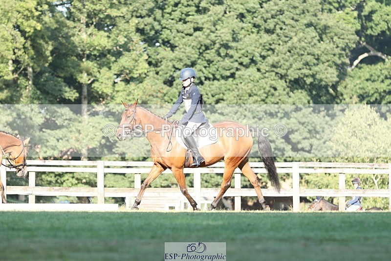 250823A-084436-25763 - Arena D