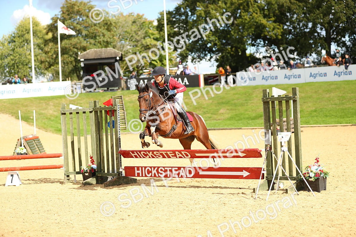 SBM_07625 - E4 Eventers Challenge 80cm Open