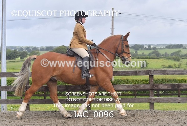 JAC_0096 - CHAMPIONSHIPS AND SUPREME