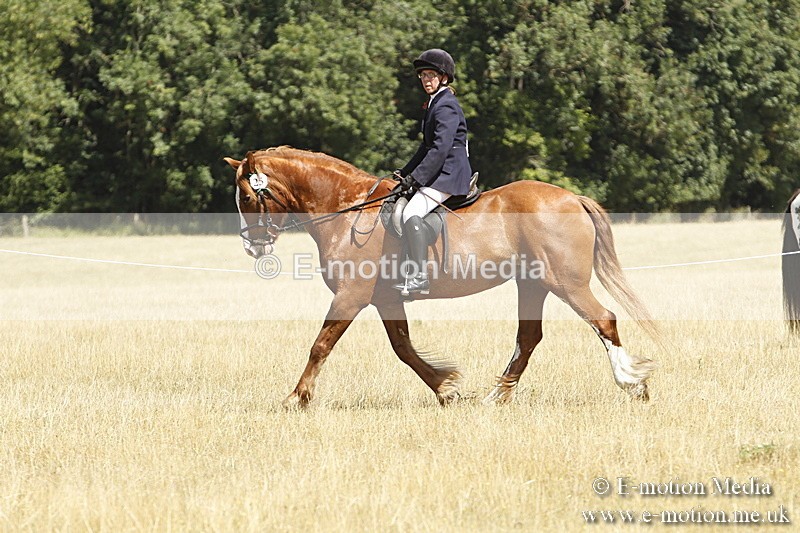 _BS_0757 - BVRC Show 2018 Ring 1