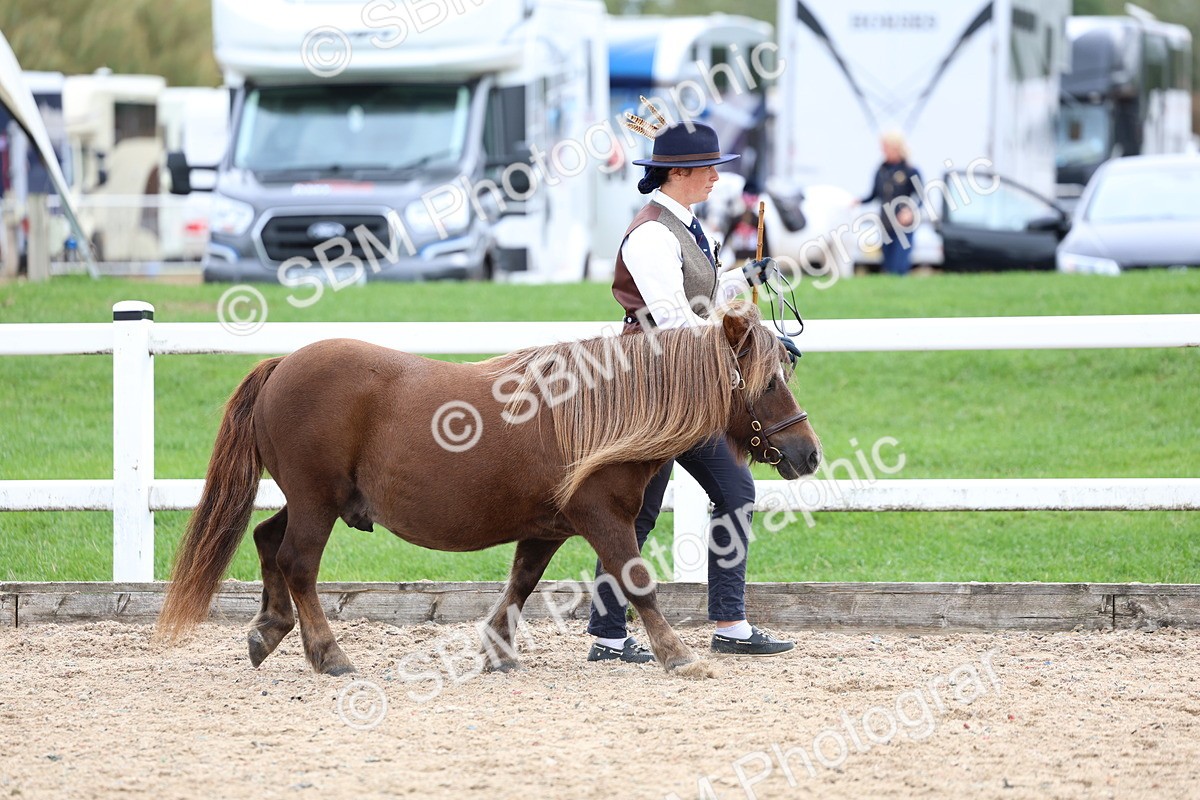 SBM_05810 - Class 29 - IH Veteran Pony