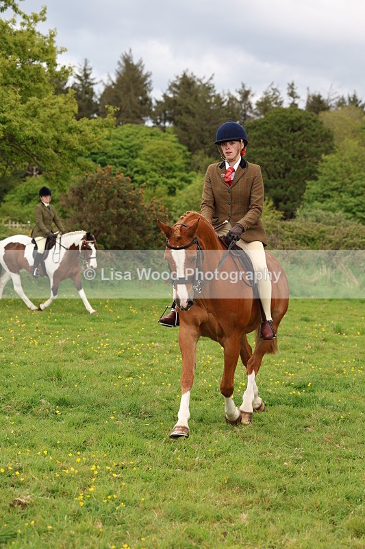 3E7A1453 - Class 8: Ridden Veteran Junoir and Senior