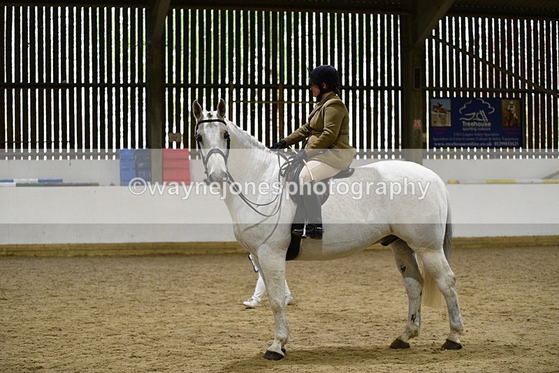 WJ5_9025 - Class 15 Ridden Show Horse