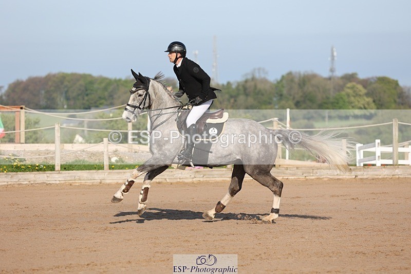 250427-084314-14613 - Cls 28 Young Horse 5yr old