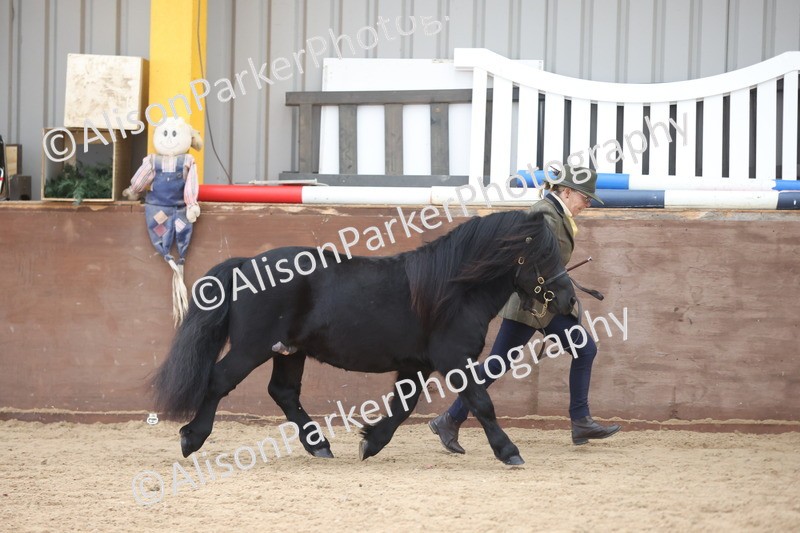 20251109-1228 - Supreme Championship