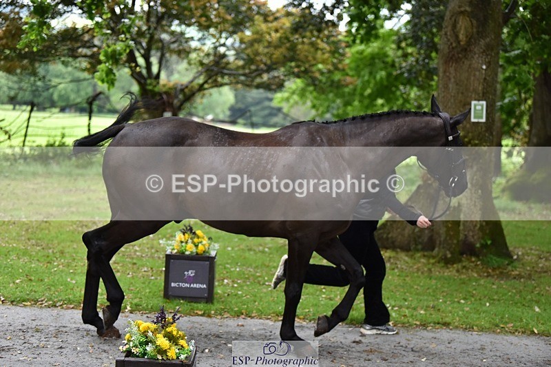 240522-155114-00534 - 101-MORELANDS_CASANOVA-Daisy_Bathe