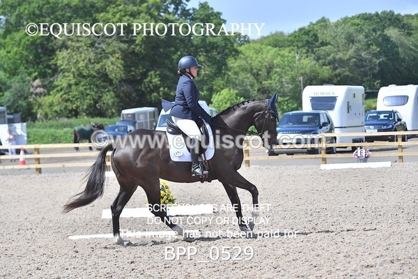 BPP_0529 - MFS NOVICE