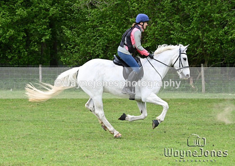 WJ7_2504 - Edited Examples