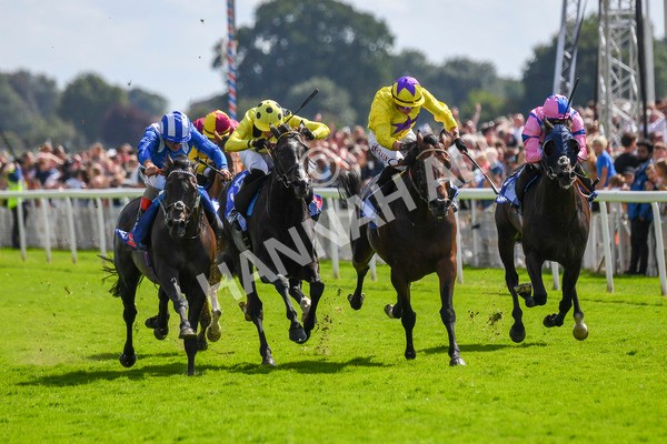 290723-Race 3-Alflaila-0538 - Race 3 3.15pm Sky Bet York Stakes (Group 2)