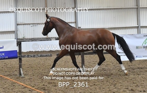 BPP_2361 - AFTERNOON 12.30 - 3.30PM