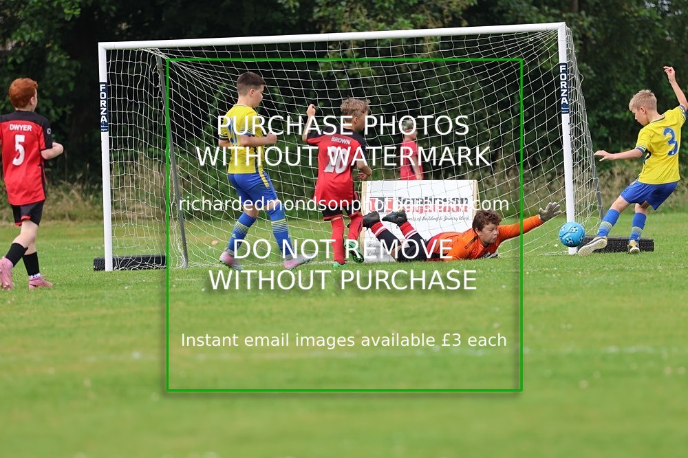 533A3077 - Sedbergh Wanderers (morning Ibis)